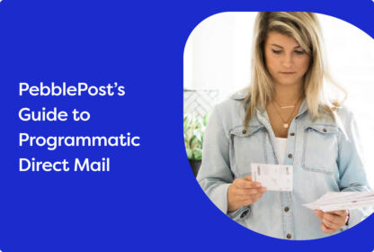 Programmatic Guide