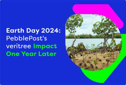 Mangrove trees reforested for earth day